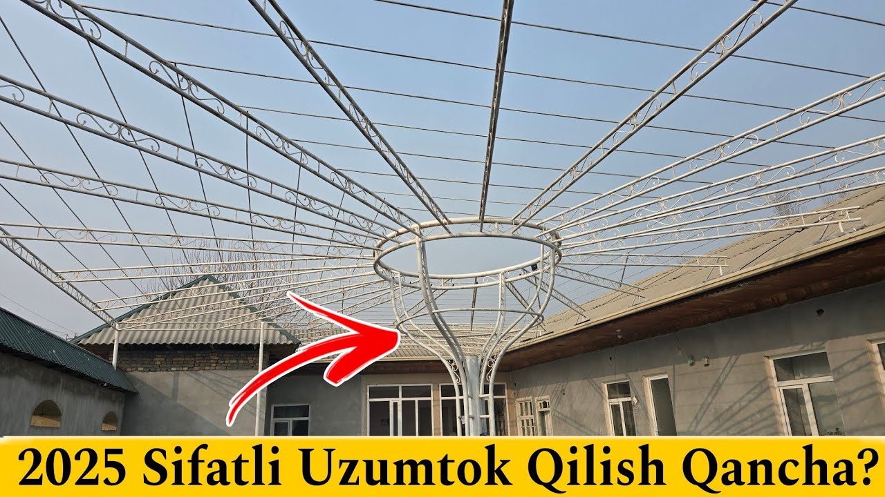 Uzumtok Zo'ridan +998903442653 | 2025 Sifatli Uzumtok Qilish Qancha ?| УЗУМТОК НАВЕС КАЗЕРОГ