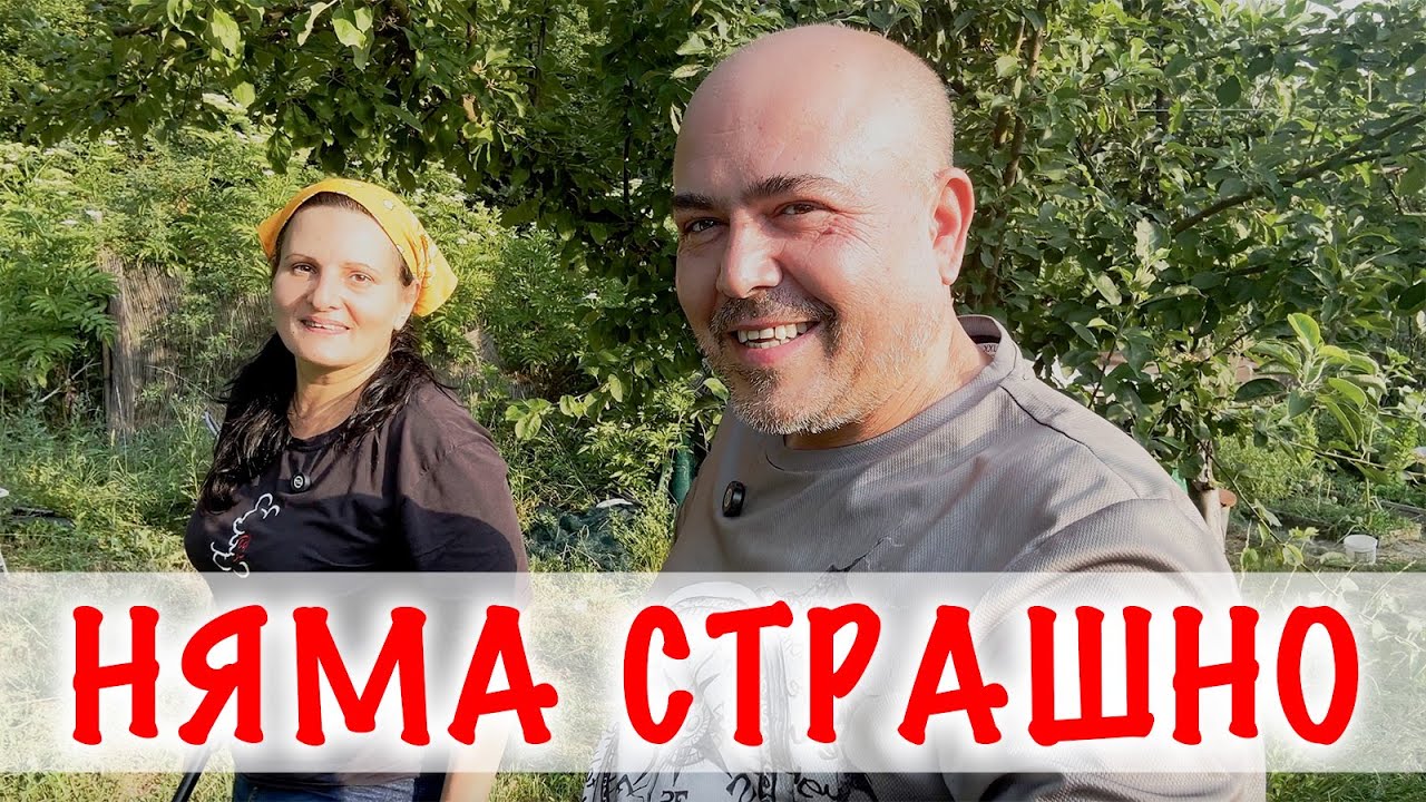 СЕЛСКИ НЕВОЛИ! Доматите не зреят! Всичко е хем наред, хем надолу с главата :-)