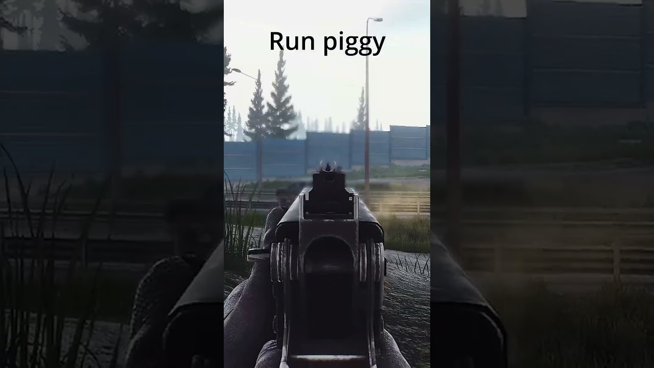 Hog Hunting Extract Camping Escape From Tarkov