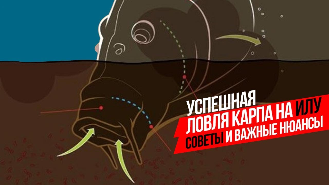 МОНТАЖ и ОСНАСТКА для ЛОВЛИ КАРПА на ИЛУ! ♻️ Как поймать РЫБУ на ИЛИСТОМ ВОДОЕМЕ?