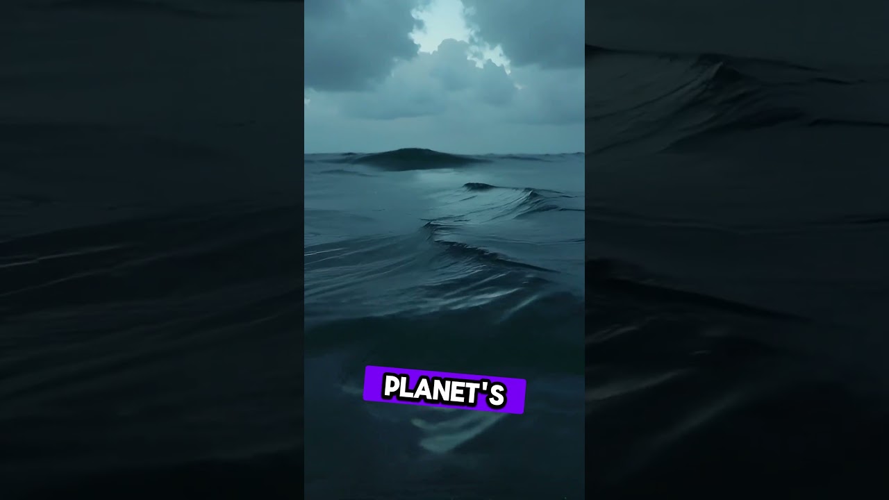 World's 