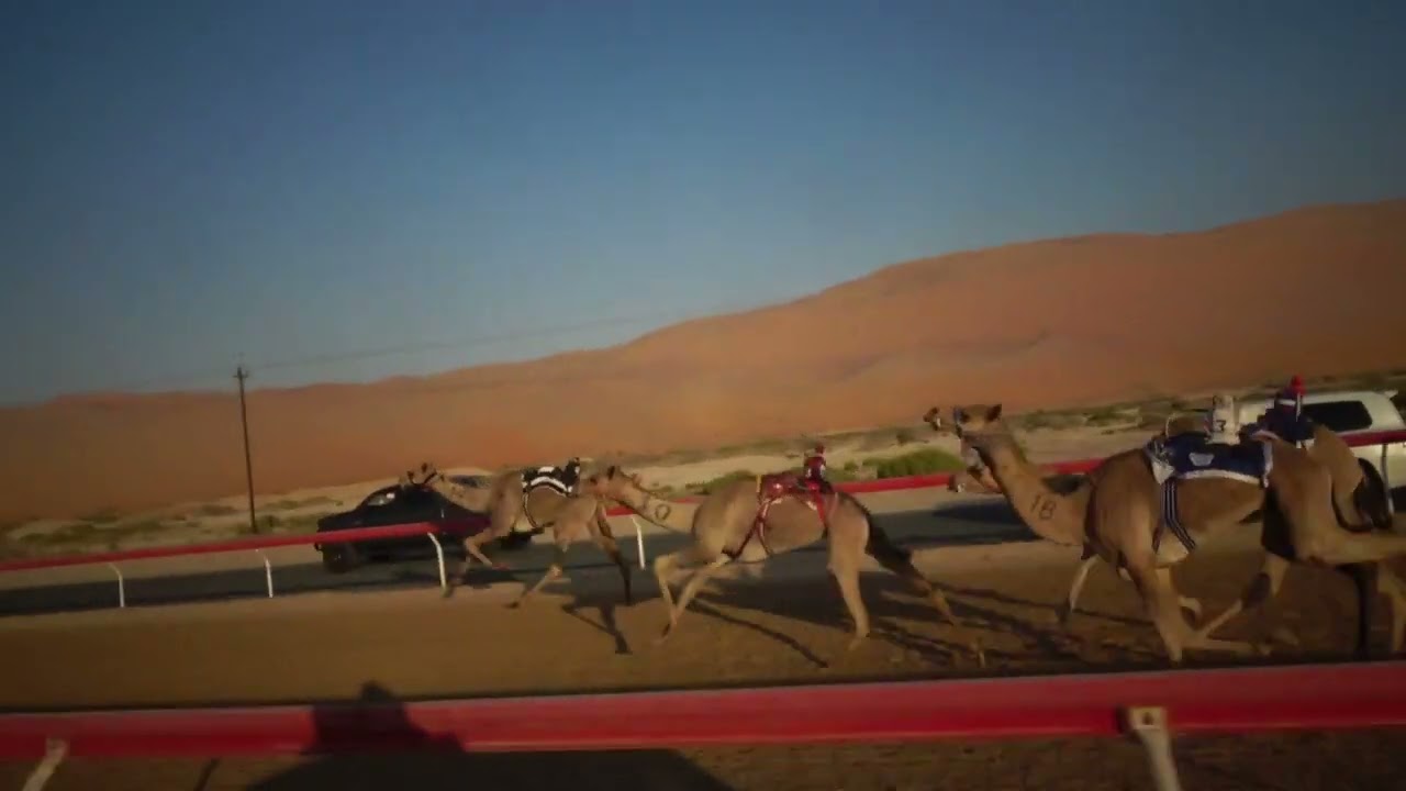 الشوط 5♥(الشبابيه)ل : نوح مسلم نفل الكثيري توقيت 4.35.85 *(افضل توقيت زمني )*