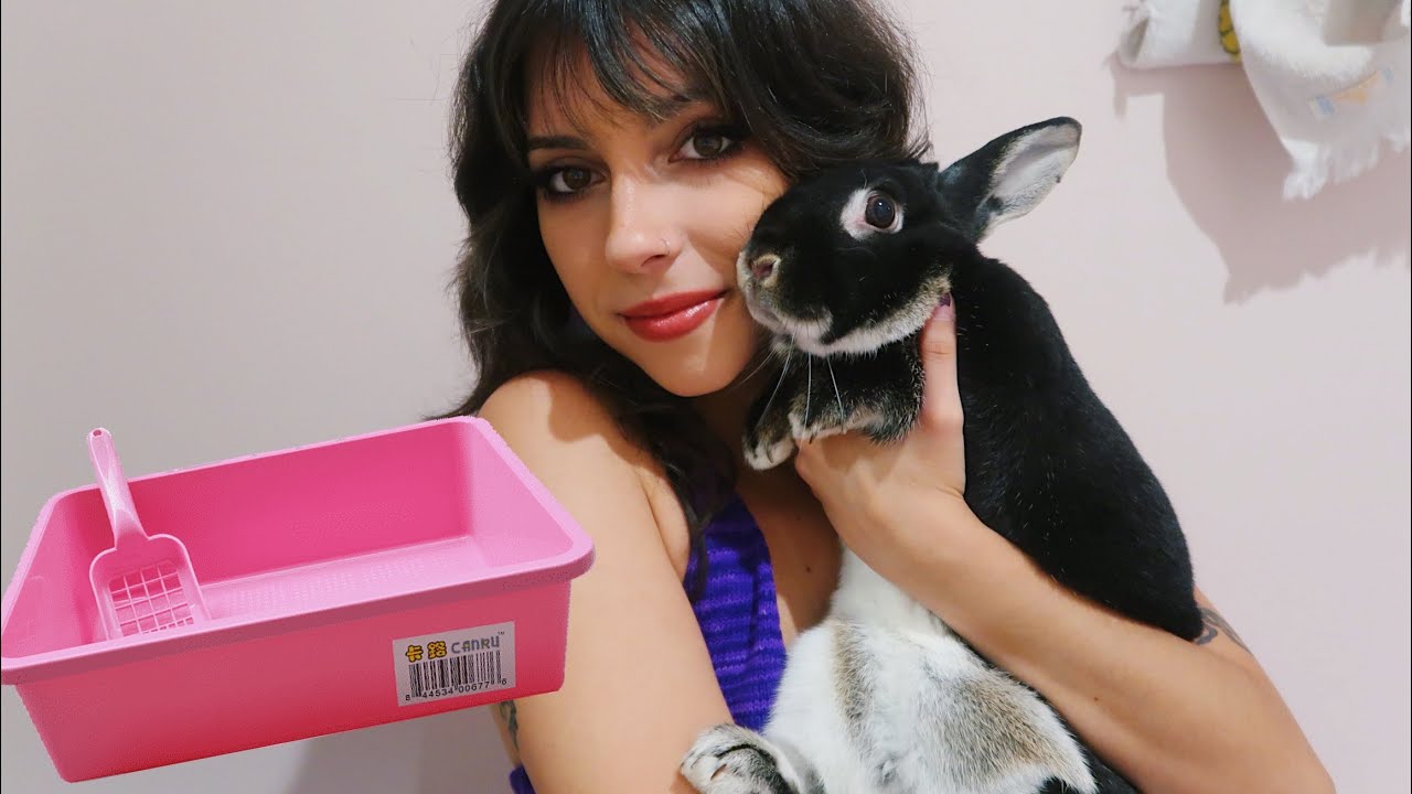 How I Potty Trained my Rabbit