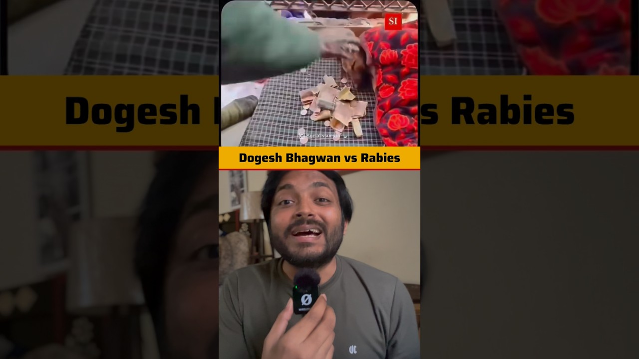 Miracle Dog of bijnor | How a rabies infected dog becomes new God 