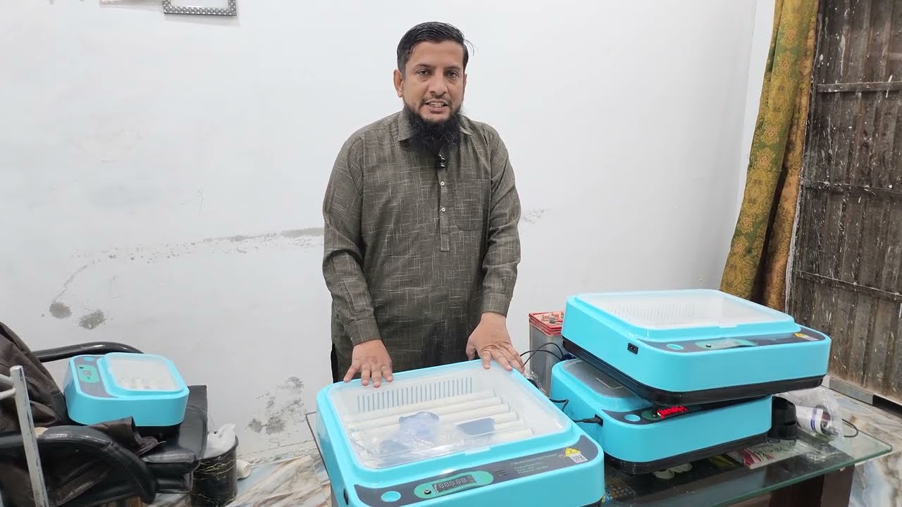 Best Automatic Egg Incubator | 12V 220V | 15–64 Egg Capacity || Made in China Auto Egg Incubator