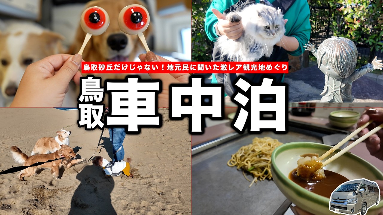 【鳥取2泊3日】犬と猫と行く車中泊旅！鳥取砂丘の絶景ドローン撮影と地元民に聞いた『孤独のグルメ』聖地まつやホルモンがヤバすぎた…！