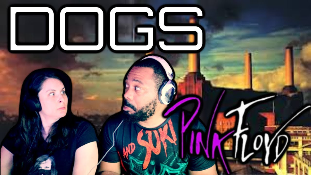 Dogs-Pink Floyd Reaction!!