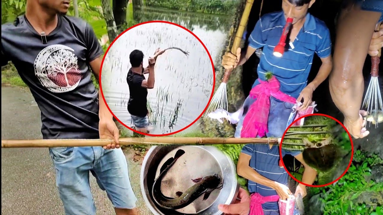 দিনে এবং রাতে টেঠা দিয়ে খালে/বিলে মাছ শিকার/Bangladesh's Fishing Traditional Methods