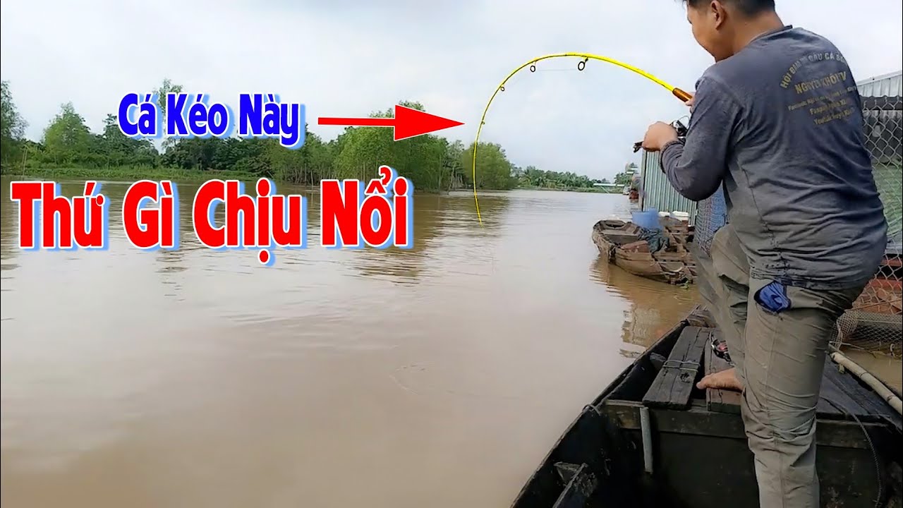Câu Trúng Cá Sủ - Xíu Đổi Đời Với Con Cá Sủ Vàng Này T499