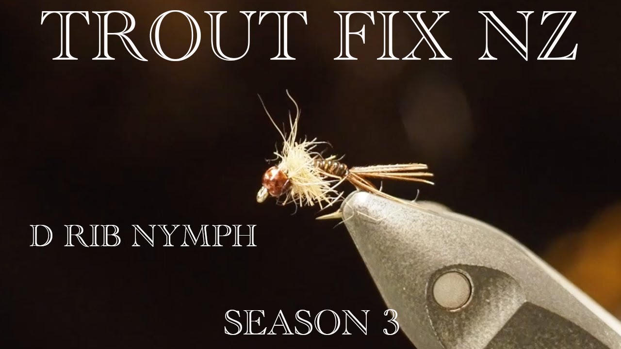 FRIDAY FLY DAY Fly tying a D rib nymph