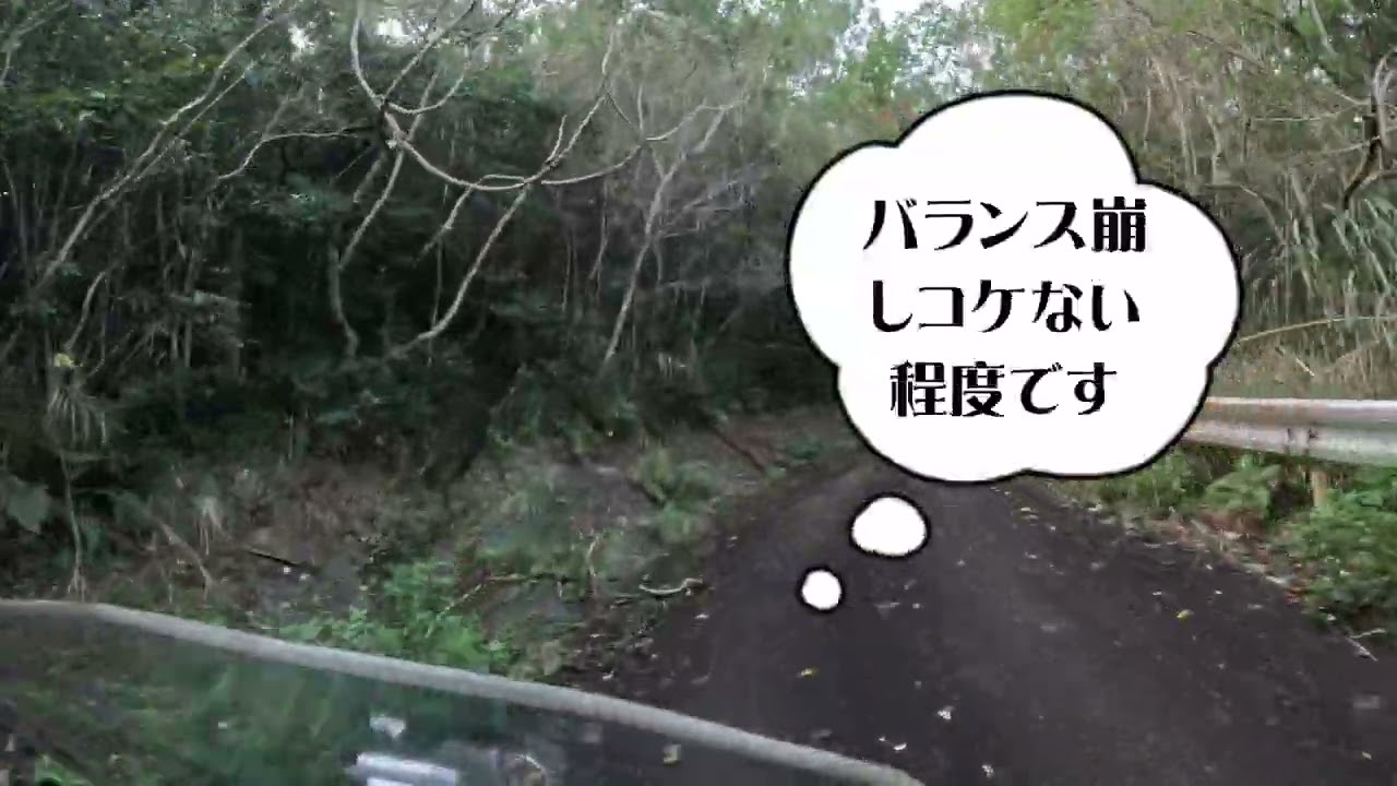 沖縄バイク【スーパー舗装林道】Oｒ快適ロードツーリング　半日コース （林道+ロードを一筆ツーリング)②