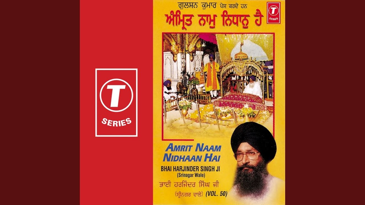 Amrit Naam Nidhaan Hai