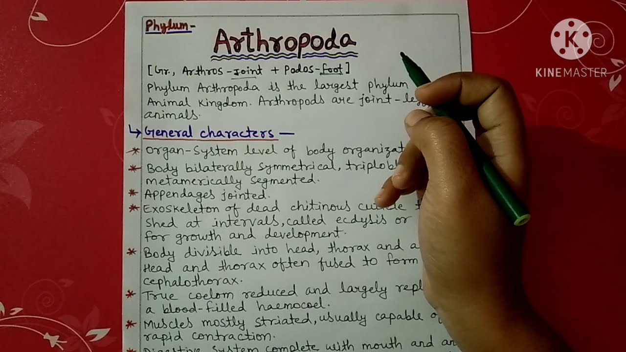 Phylum Arthropoda characters explain||Hindi
