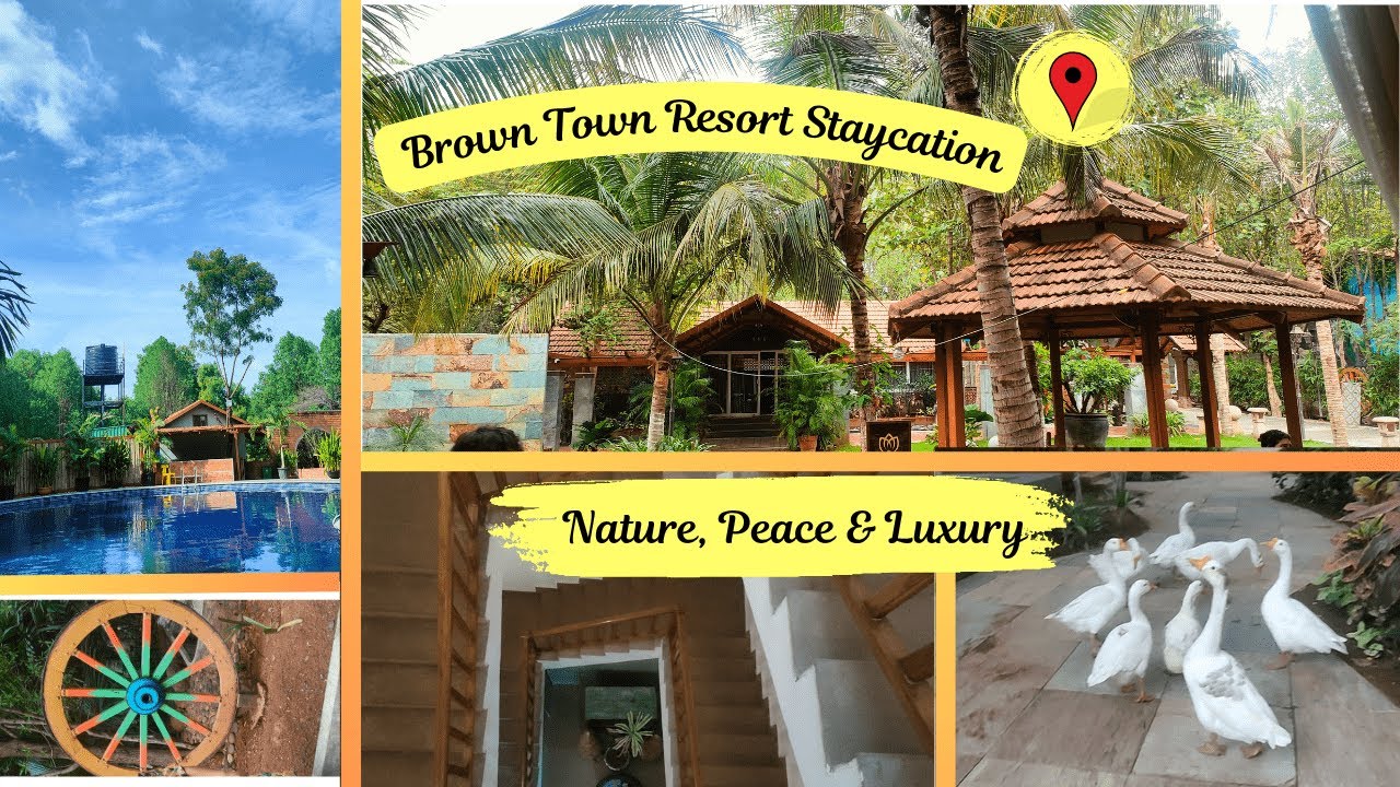 Brown Town Resort ..Why Everyone’s Visiting | Wooden Cottages ,Greenery & Luxury Stay #staycation  🏡