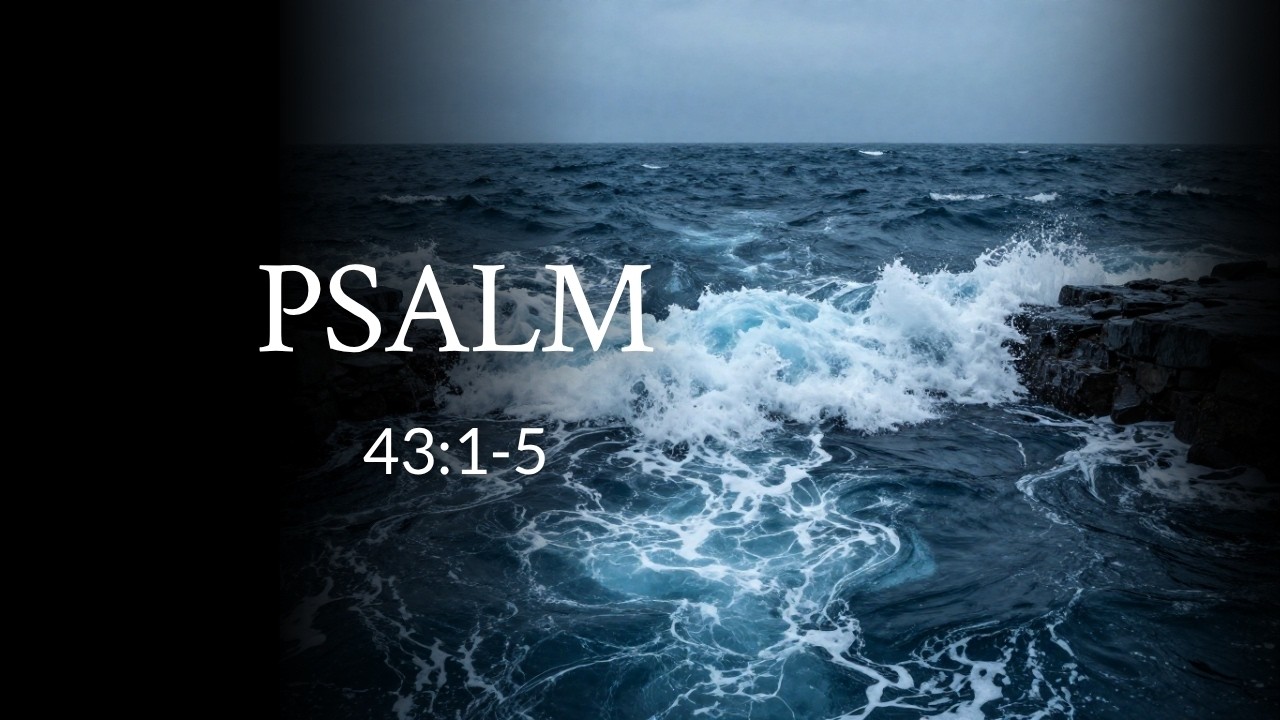 Psalm 43