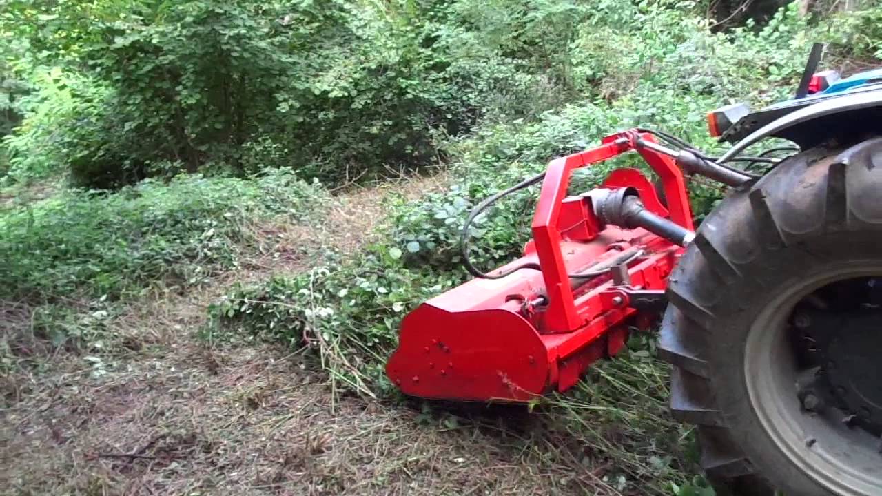 Landini con Trincia pulizia sottobosco Vestenanova - Tractor mulcher