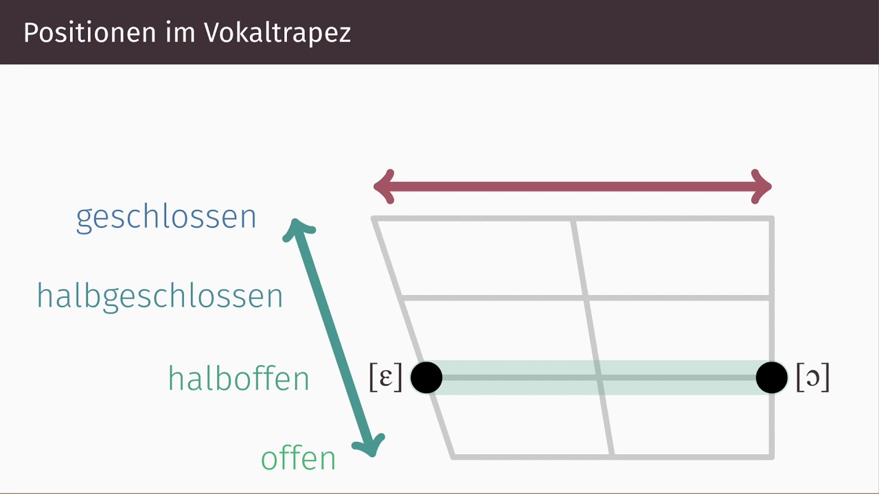 Das Vokaltrapez