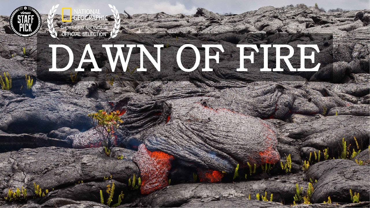 Dawn of Fire - Mesmerizing Hawaii Lava Timelapse 4K