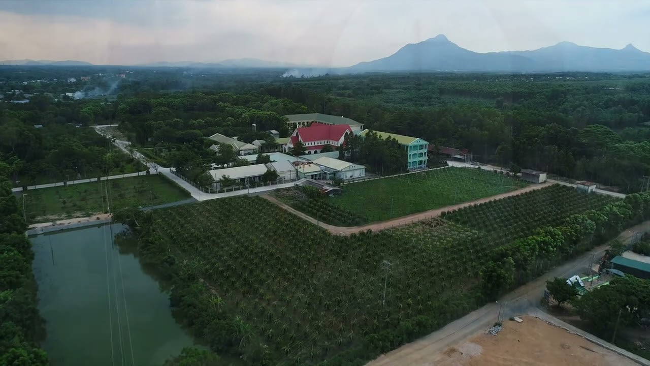 Đan sĩ Xitô hát thánh vịnh ca tụng Chúa
