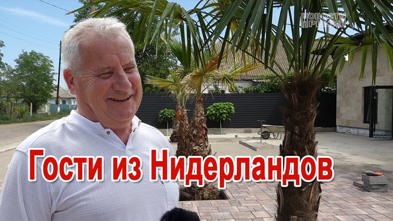 В Лиманском посадили пальмы и для Дворца культуры купили стулья