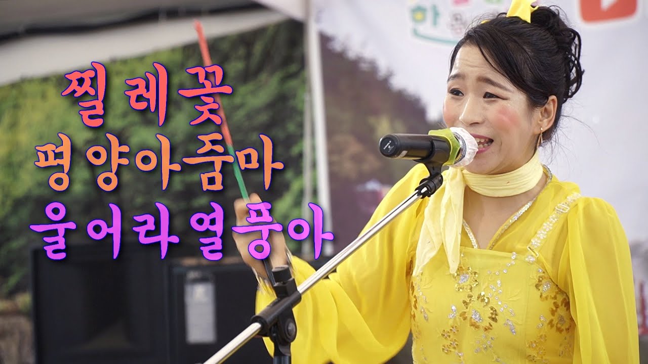 신세대 품바아름이 - 찔레꽃,평양아줌마,울어라열풍아