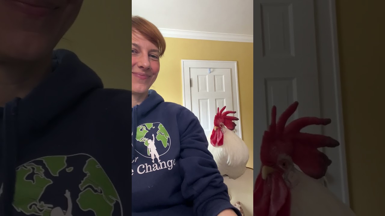 When Your Rooster Thinks He's A Dog | The Dodo  #thedodoanimals