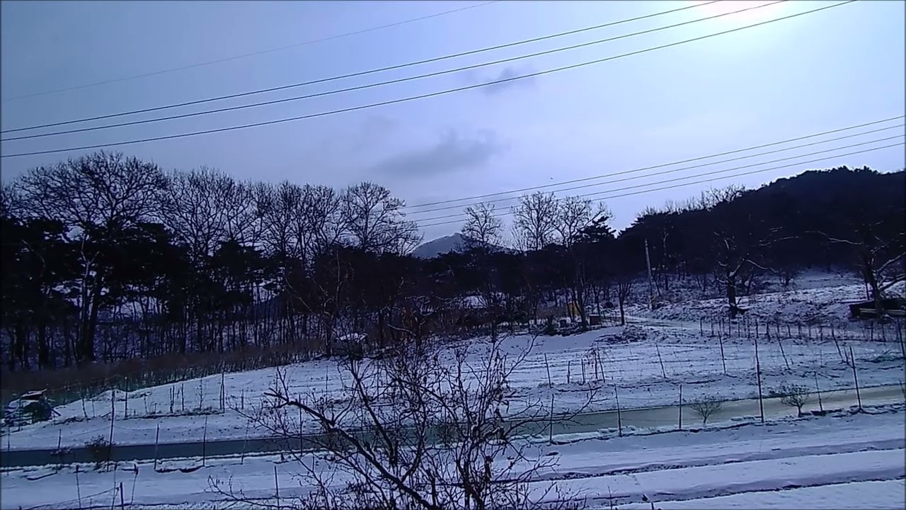 Quiet Morning in a Village | Asan, Korea / 