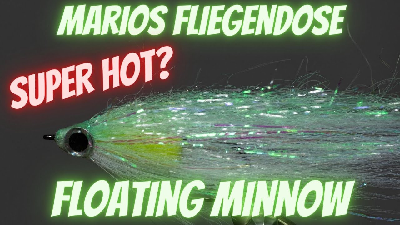 Floating Minnow - Neue Geheimwaffe für Rapfen, Barsch und Zander? - Marios Fliegendose