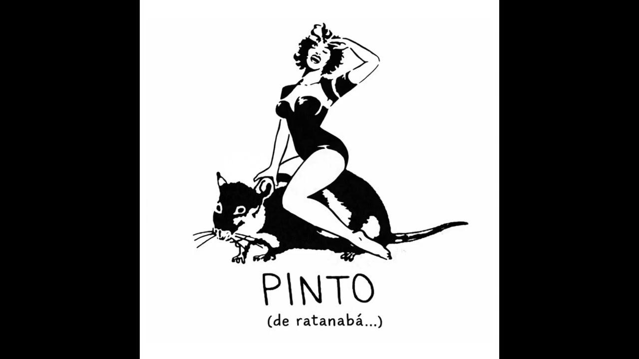 PINTO DE (ratanabá...)