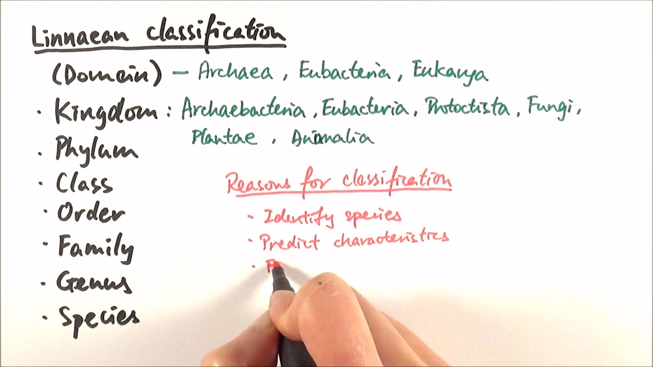 AS Biology - Classification and binomial nomenclature (OCR A Chapter 10.1-2)