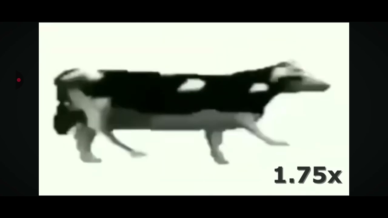 17 октября 2025 г.