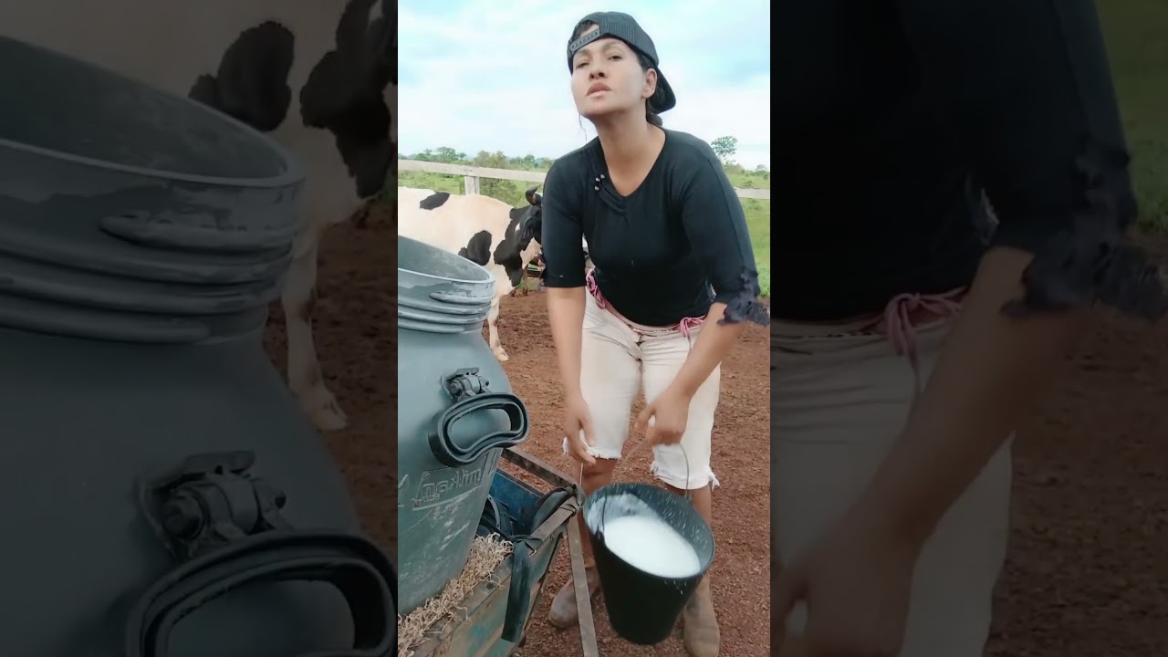 Na lida