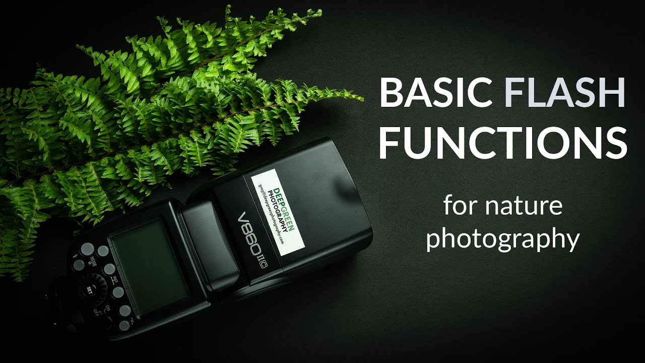 Basic Flash Functions for Nature Photography