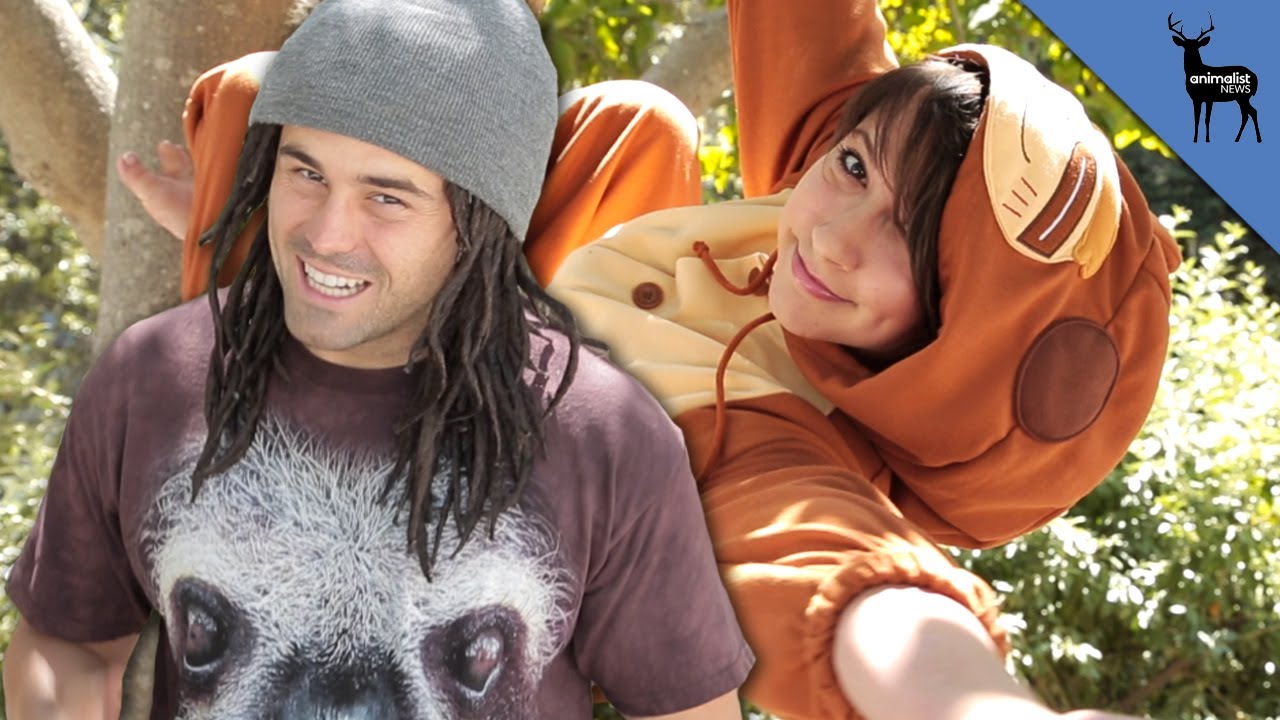 Why We Should Live Like Sloths