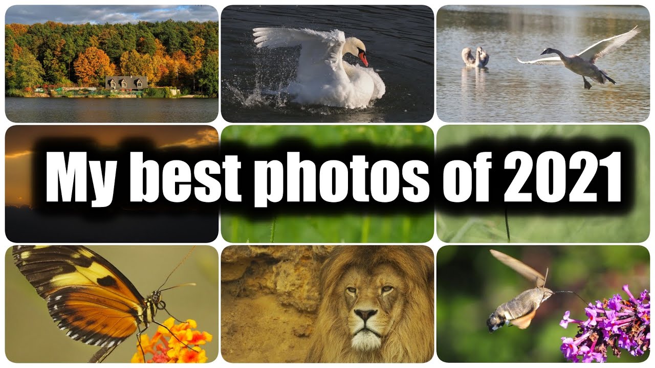 My best photos of 2021