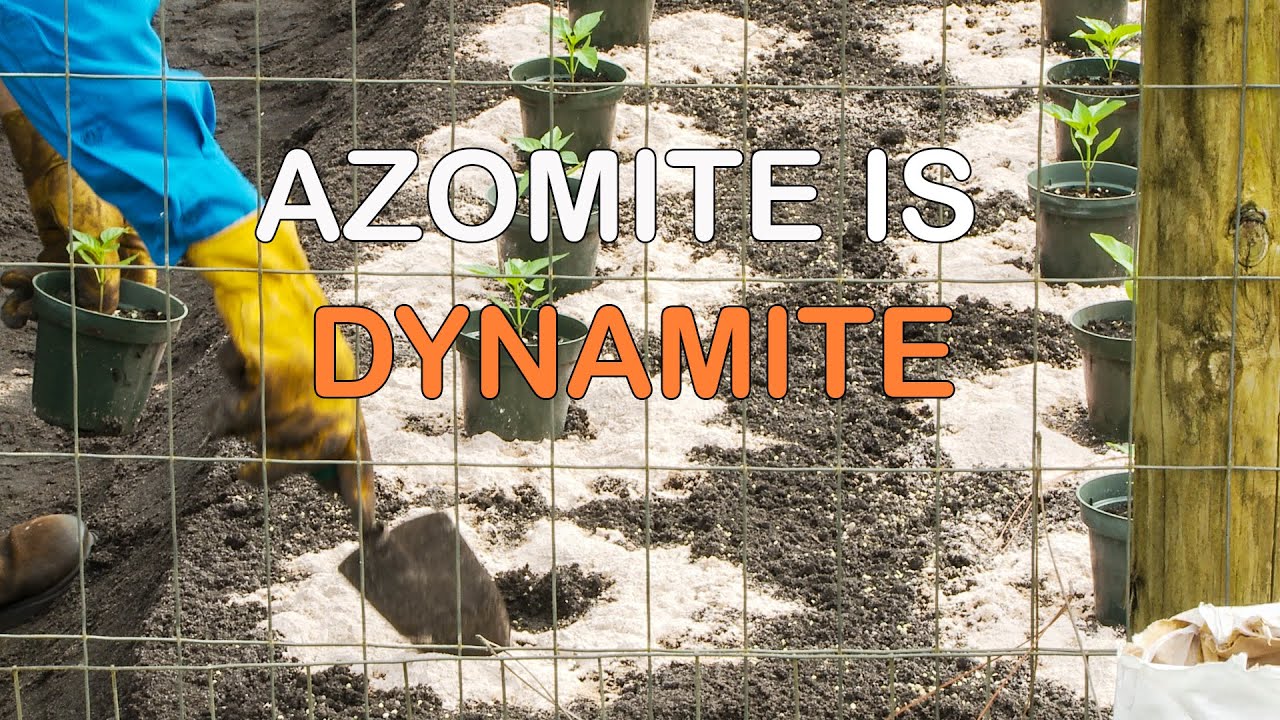 Azomite for a healthy body