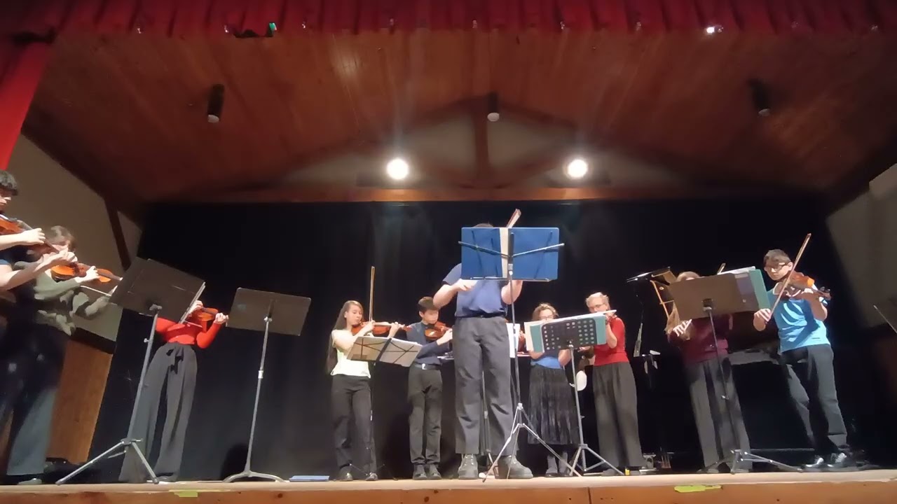 Vivaldi Four Seasons  - Winter Movement 2 Largo