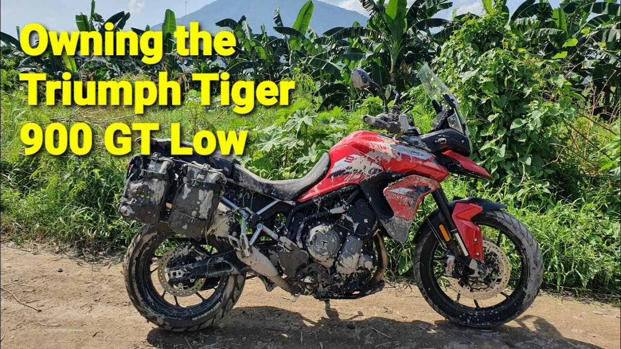 Owning the Triumph Tiger 900 GT Low (LRH): Views from a New Rider