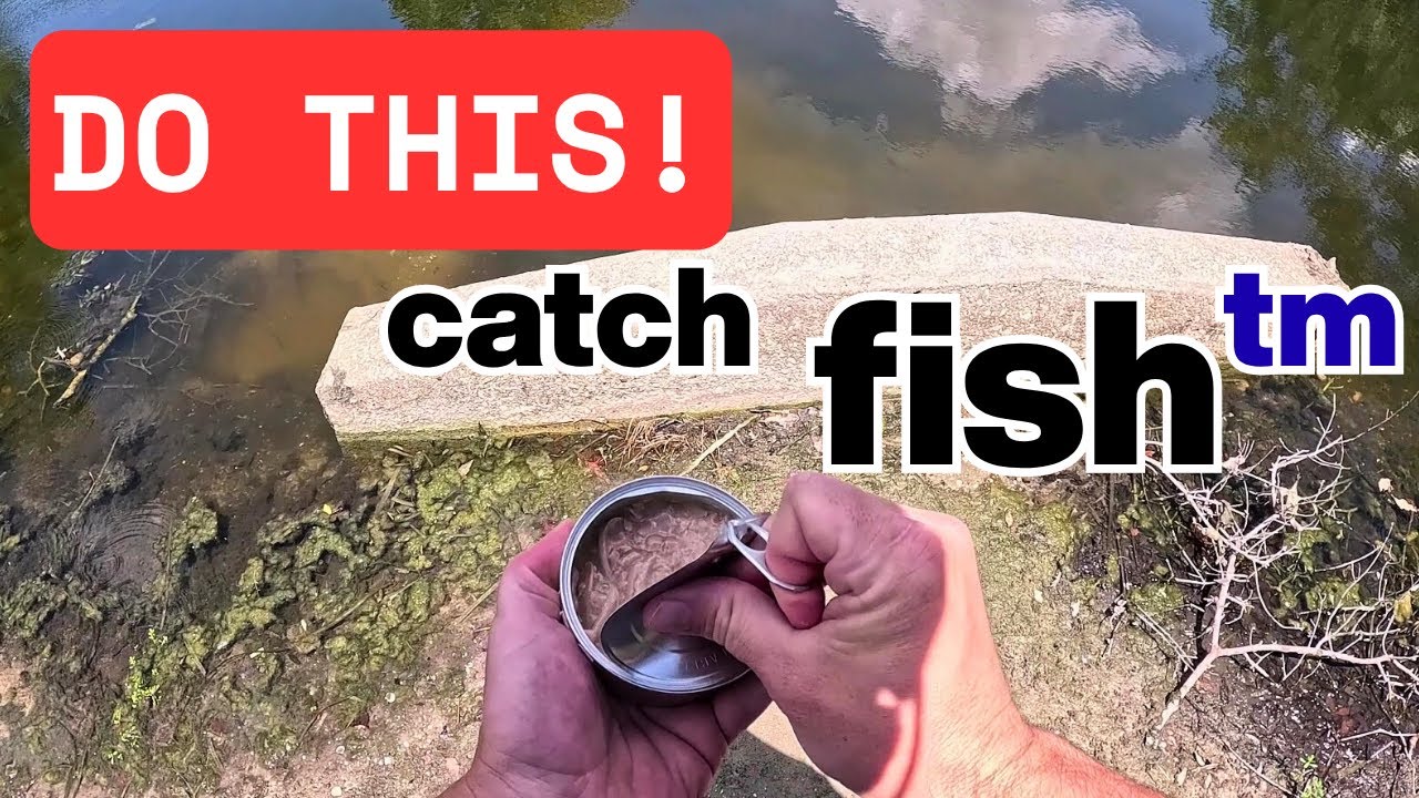 10 Fish in 10 Minutes! Easy Fishing Tips for Your Lunch Break