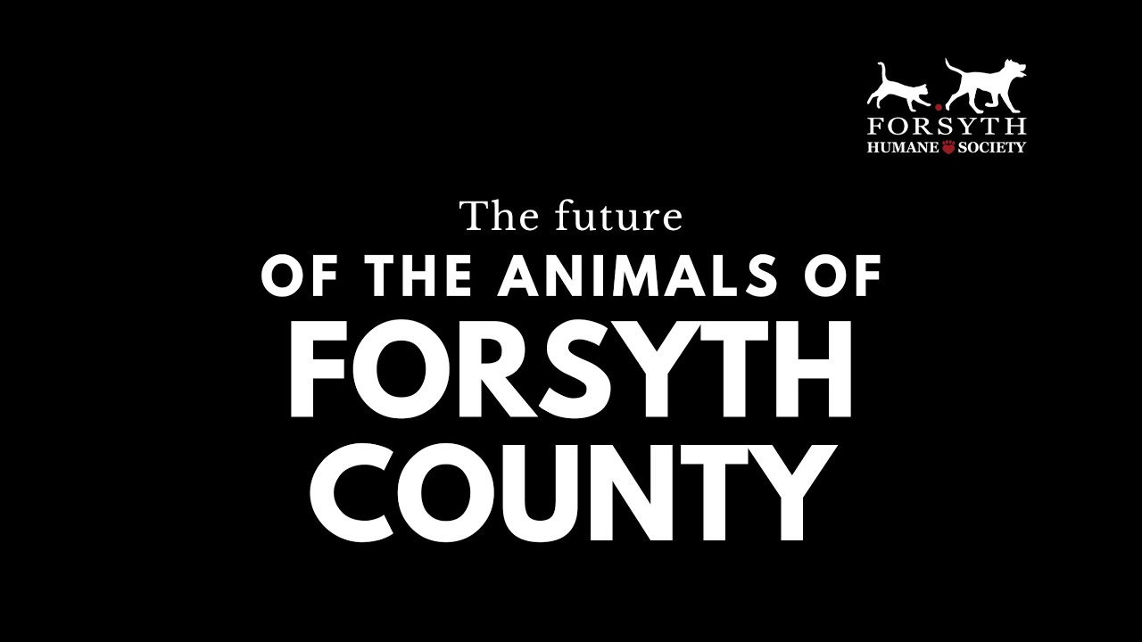 The Future of the Animals of Forsyth County