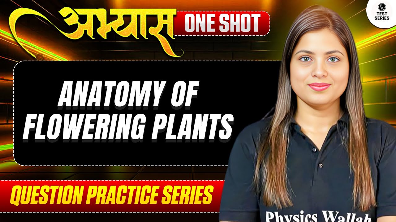 ANATOMY OF FLOWERING PLANTS - ABHYAS : Question Practice Series for NEET 2026 || PhysicsWallah ⚡