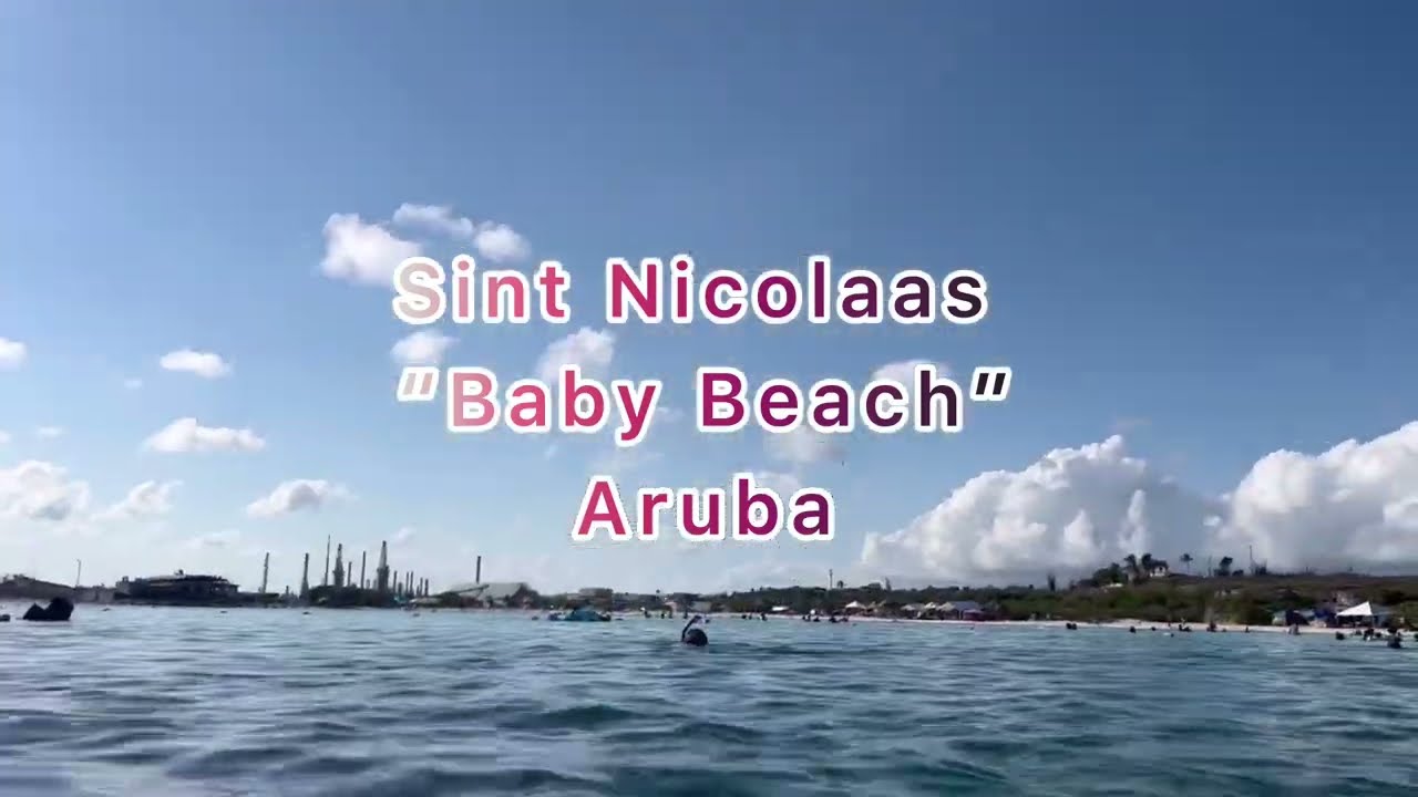 Snorkeling in Aruba at Baby Beach 4k