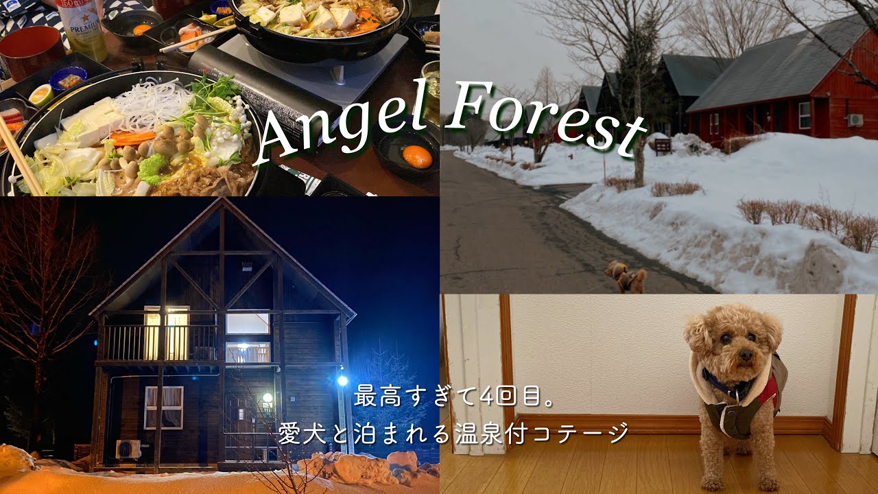 【エンゼルフォレスト白河高原①】温泉付きコテージ一棟貸し🪵贅沢なすき焼きコース!! 愛犬と息子と共に楽しんできました🐶💛