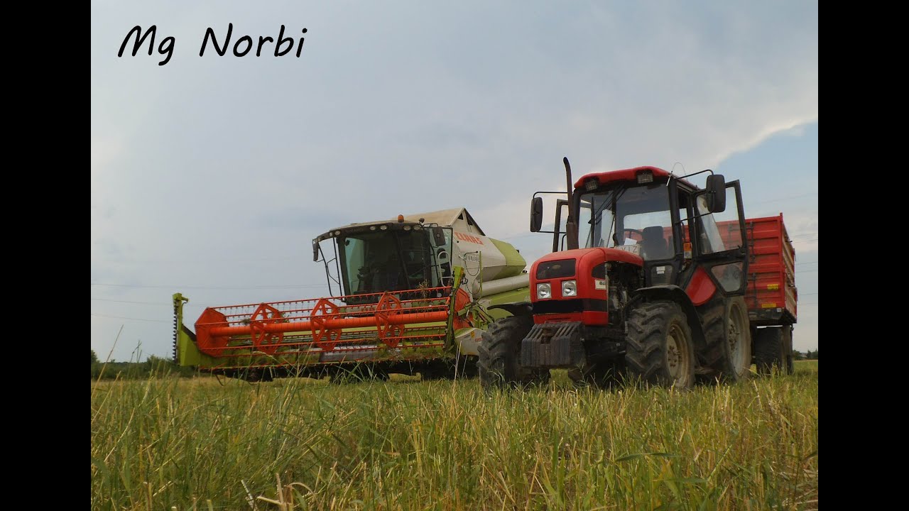 Pinkamenti Gazdák Szövetkezete - {2015} Repce aratás (Claas Tucano 440+Mega 360, MTZ 1025.3)