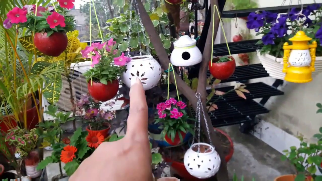 My free of cost plant holder/ hanger...