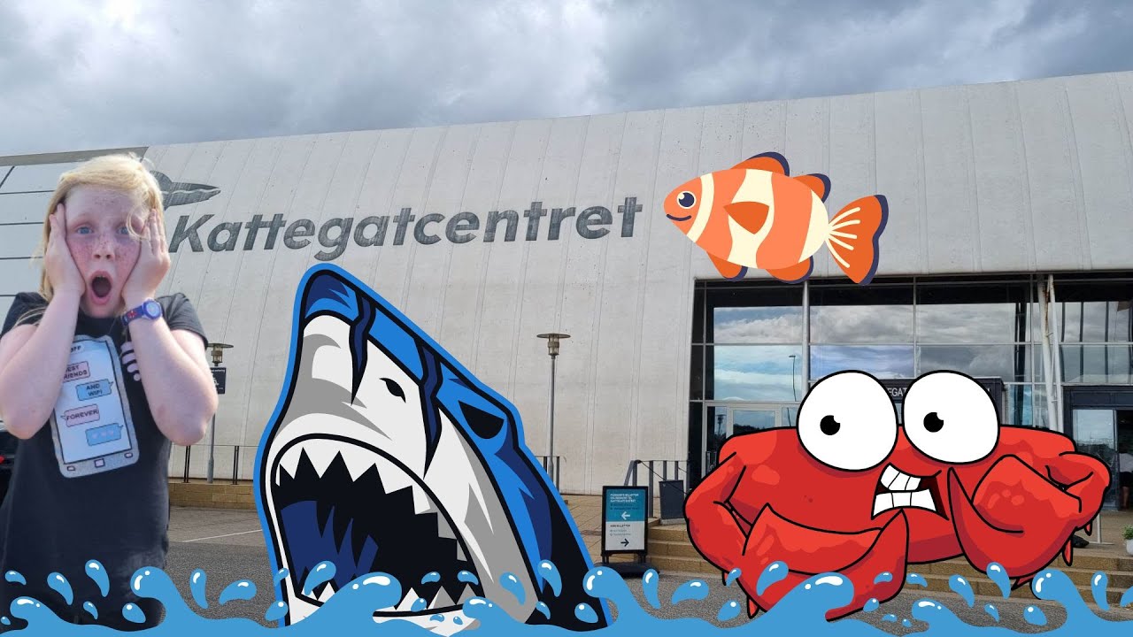 Kattegatcentret - vlog 65