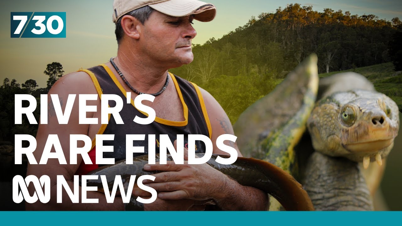 Why scientists and traditional owners are canoeing 200km to survey the Mary River | 7.30