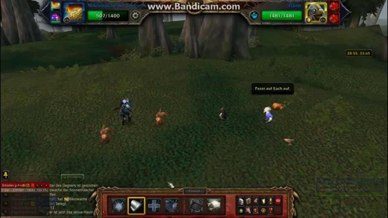Wow Haustier Guide Beegli Lunte mit Pl&uuml;schelekk