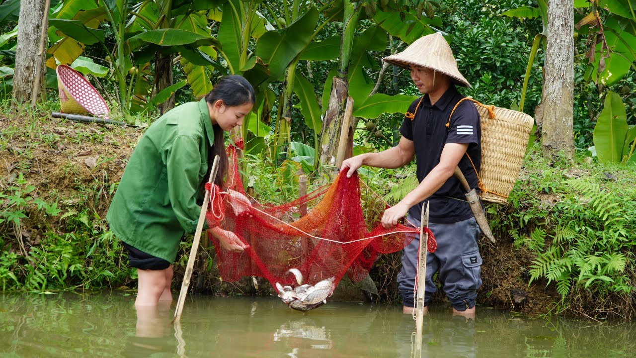 From businessman to farmer: CEO builds pond, raises fish - What happened behind the garden?