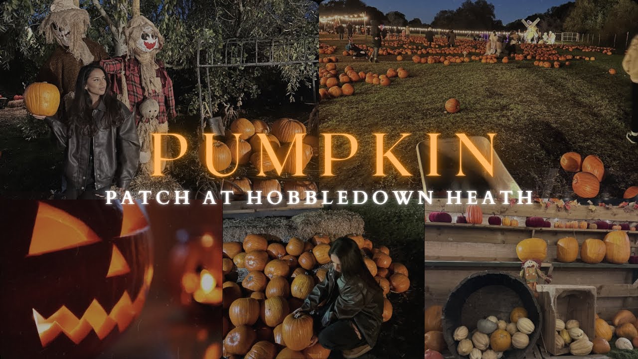 Hobbledown Heath Pumpkin Patch 2025 | Cozy Halloween Vlog 🎃🍂